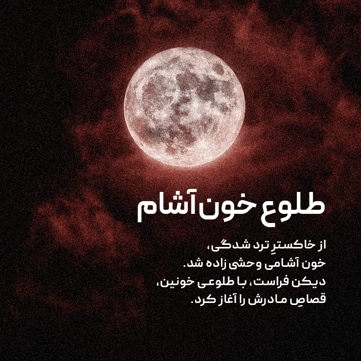 ۳دیکن copy